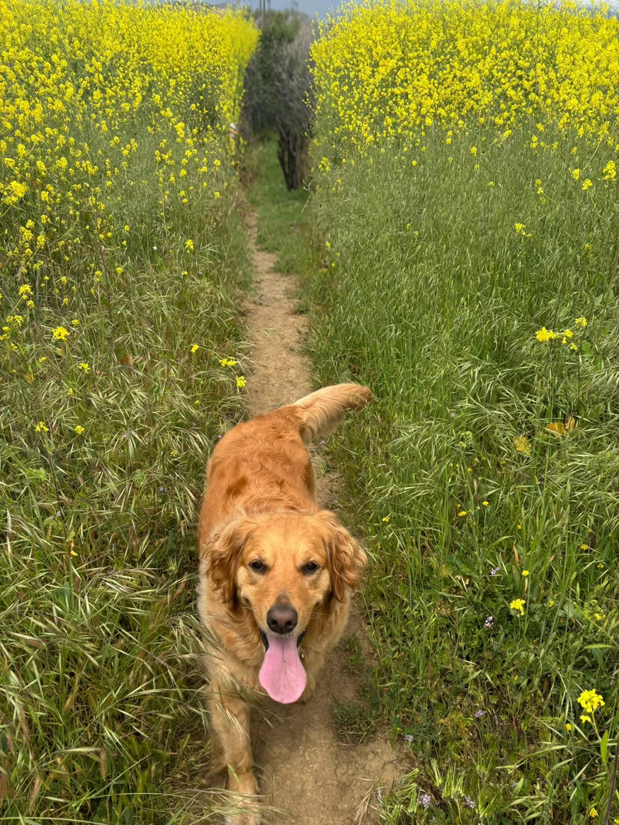 Mud is a personality trait at this point.