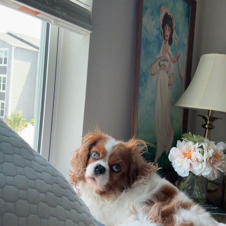 Pip