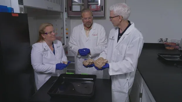 Dog Aging Project