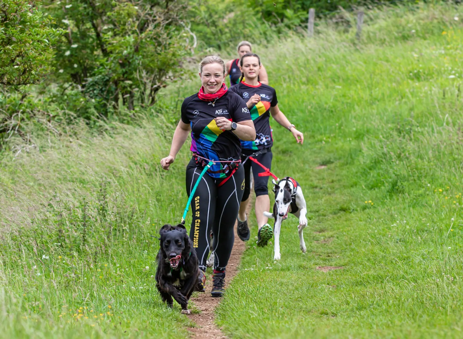 Canicross qualification launched