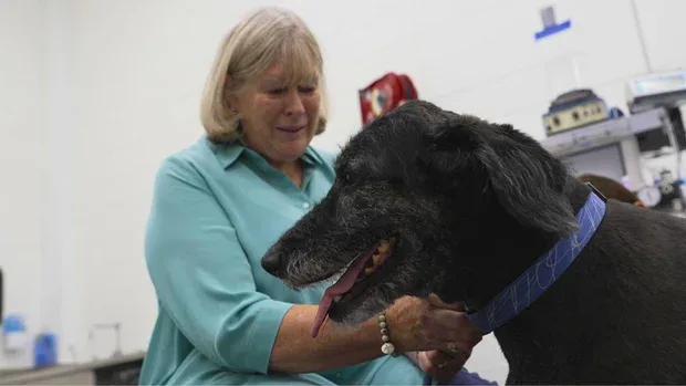 Dog Aging Project